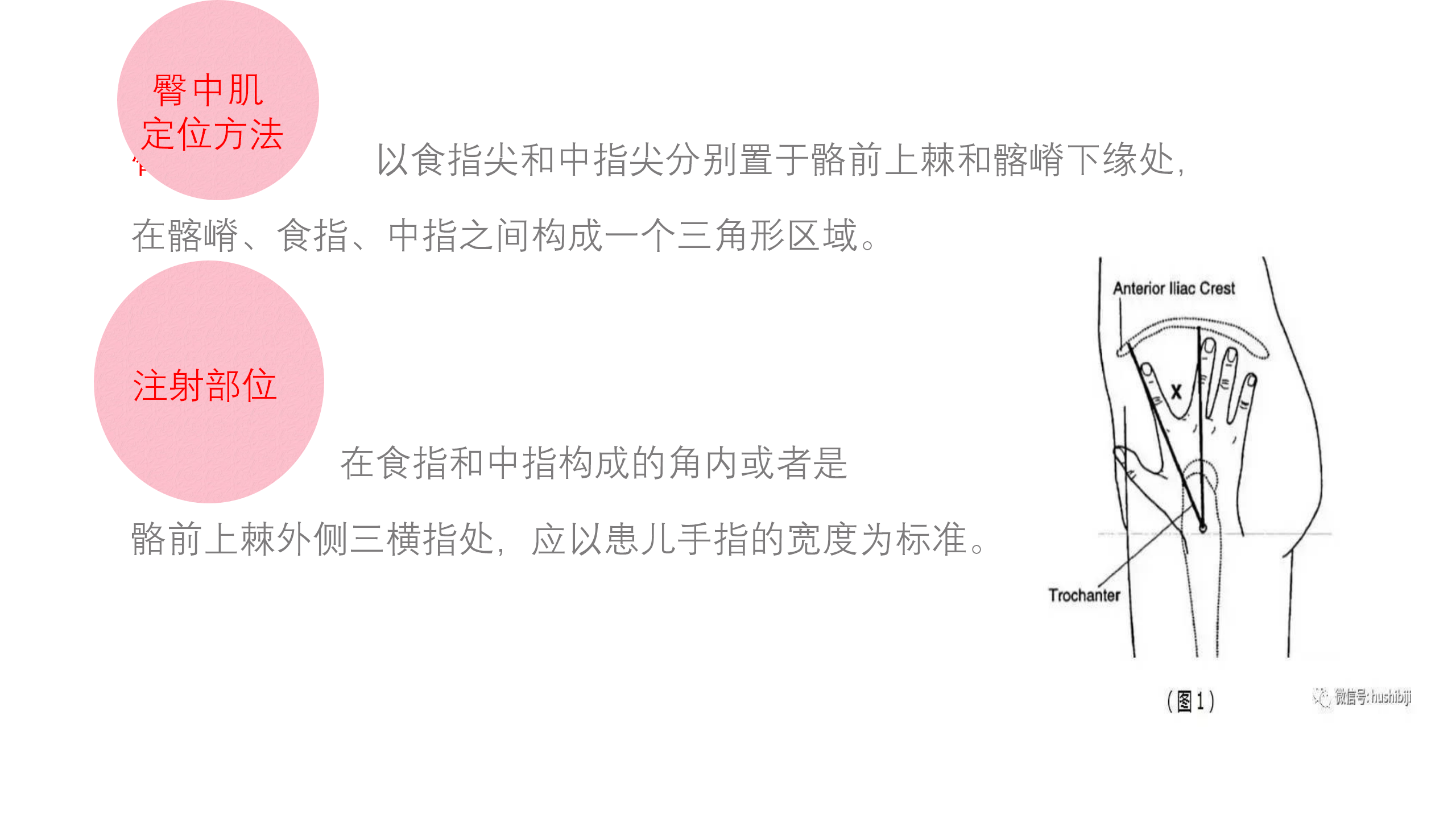 小儿肌肉注射部位及定位方法-沧州市眼科医院-赵红娟
