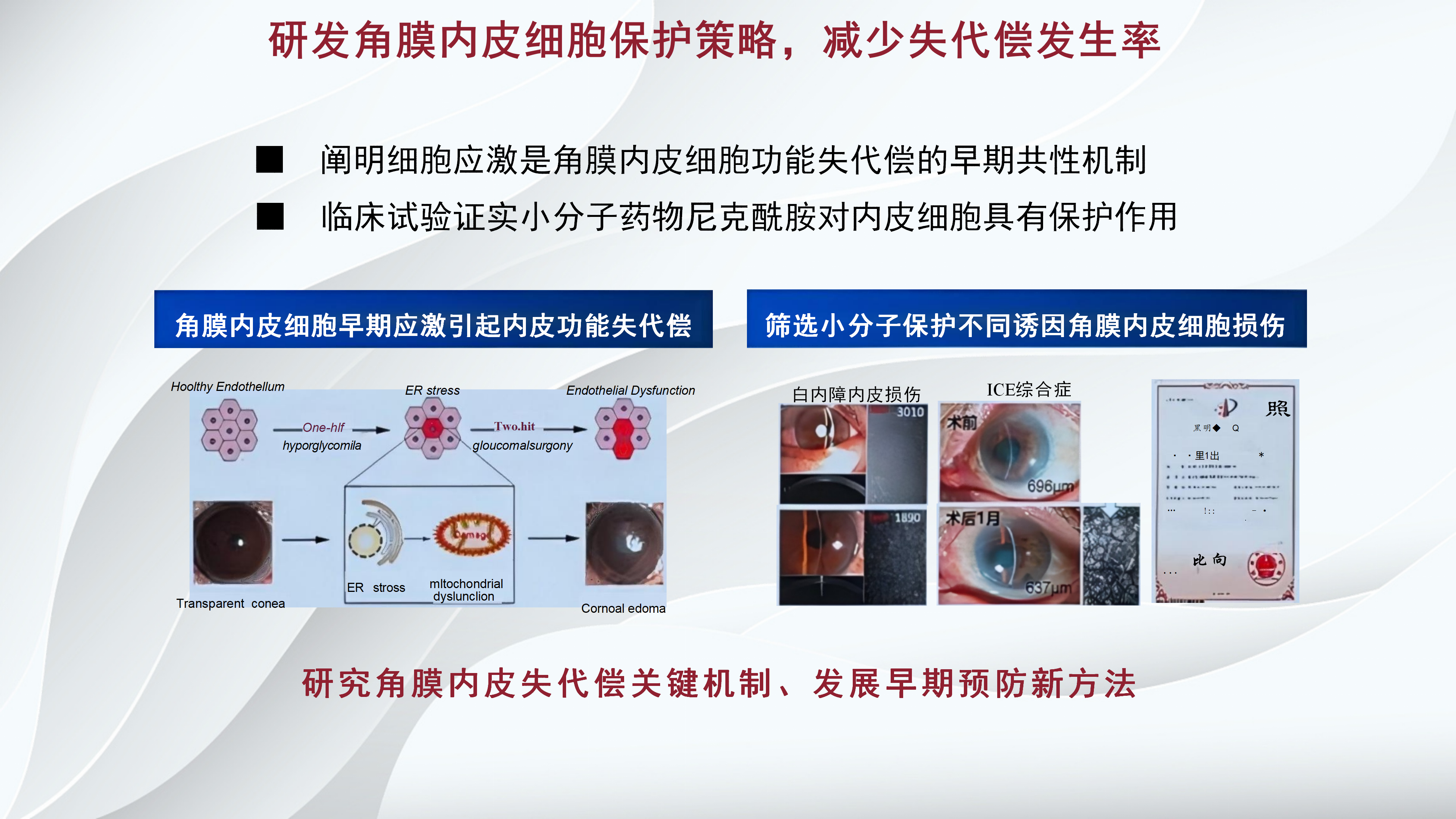 角膜病新进展-沧州市眼科医院-杨立东