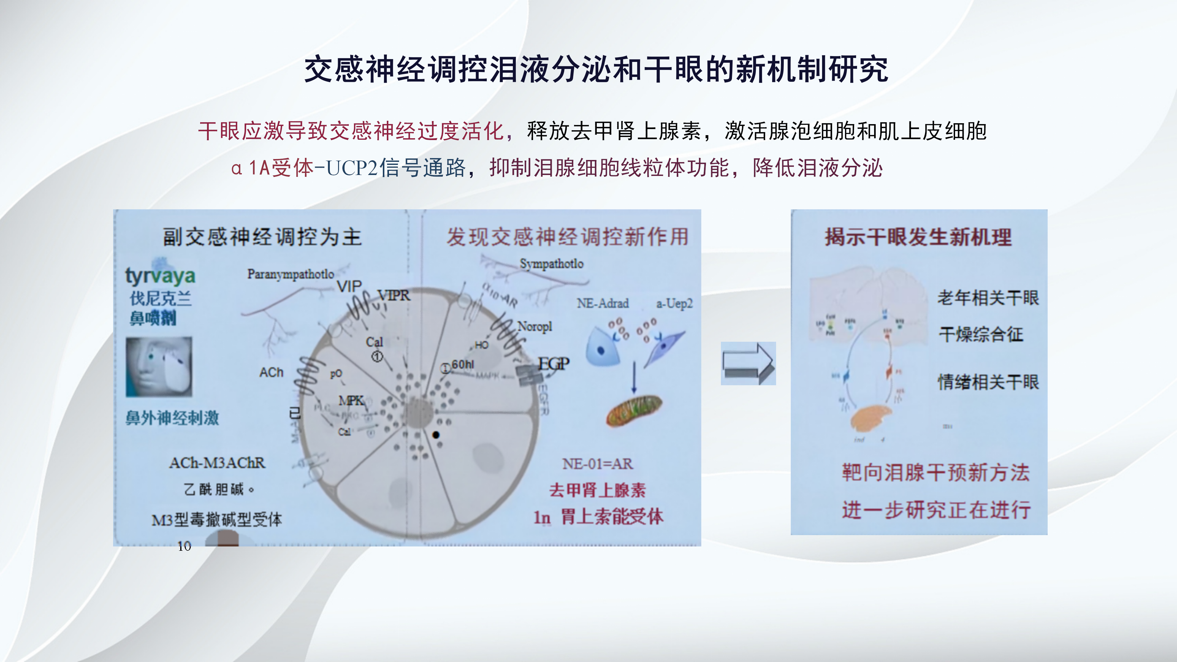 角膜病新进展-沧州市眼科医院-杨立东