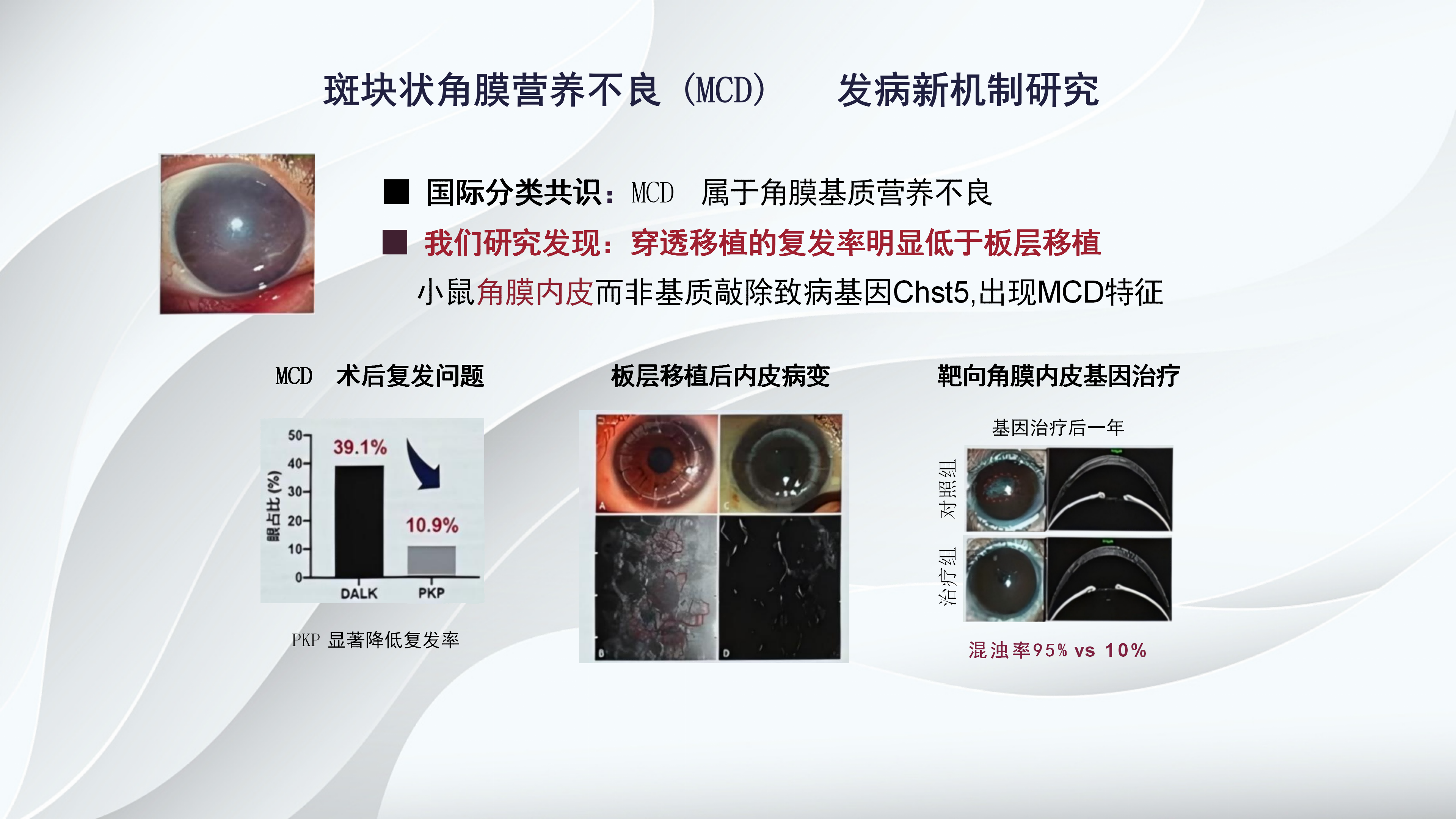 角膜病新进展-沧州市眼科医院-杨立东